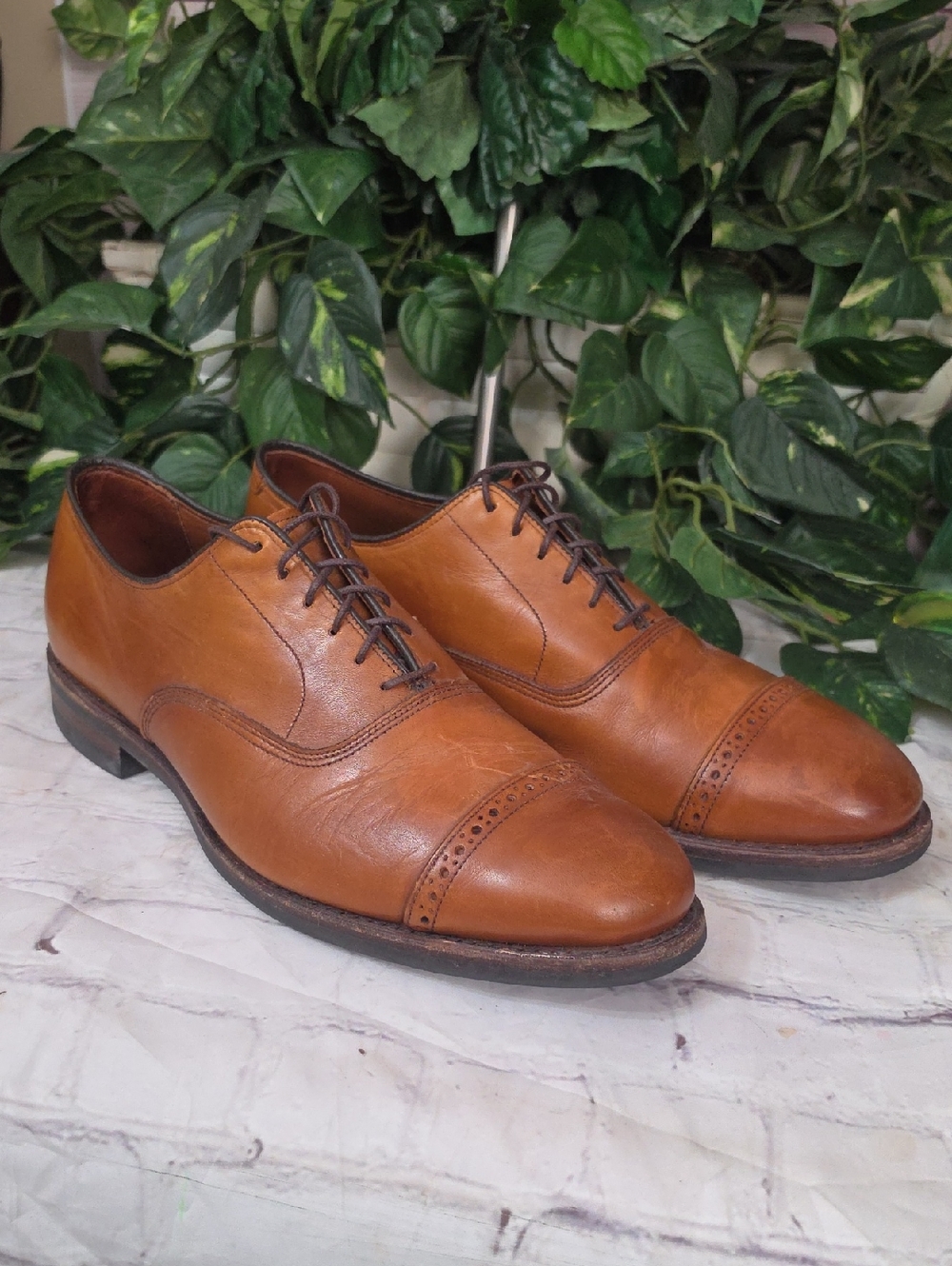 Allen Edmonds Men's Tan Cap-Toe Oxfords
